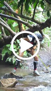 BIB:  <button type="button" onclick="openModal(27824397)" class="btn btn-primary btn-sm float-right" data-toggle="modal" data-target=".modal-high-quality">
                <i class="fa fa-download"></i> Download
                </button>